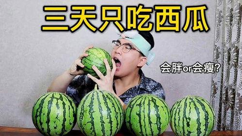 吃瓜王第三季全集免费,揭秘娱乐圈风云,免费观看全集大揭秘 第1张 吃瓜王第三季全集免费,揭秘娱乐圈风云,免费观看全集大揭秘 第1张